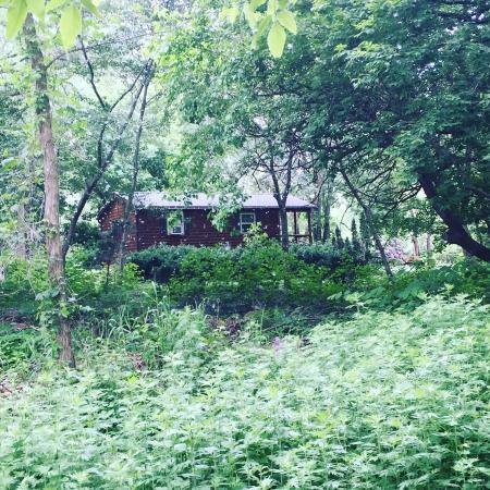 Alley Pond Environmental Center